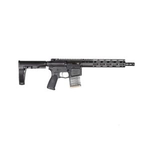 Wilson Combat Protector Elite Pistol AR-15 in 300 HAM'R with 11.3" Barrel - Black Finish - 80 Lower | Taurus X22 Frt Inc