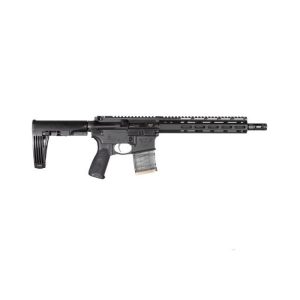 Wilson Combat Protector AR Pistol in 300 Blackout with 11.3" Barrel - Black Finish - 80 Lower | Taurus X22 Frt Inc
