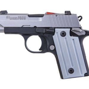 Buy P238 TWO TONE CALIFORNIA - Handguns | Taurus X22 Frt Inc