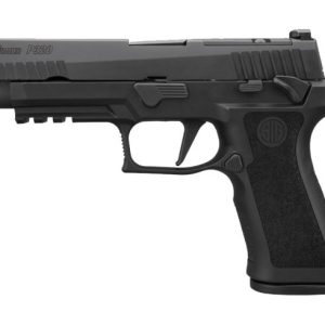 Get P320-XFULL CALIFORNIA Online - Handguns | Taurus X22 Frt Inc