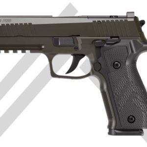 P226-X LEGION  For Sale - Handguns | Taurus X22 Frt Inc