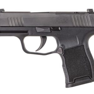 New P365-380 - Handguns | Taurus X22 Frt Inc
